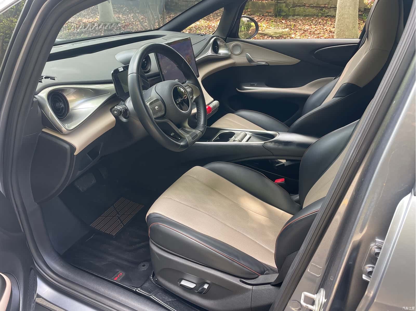 BYD Dolphin, 2023 8