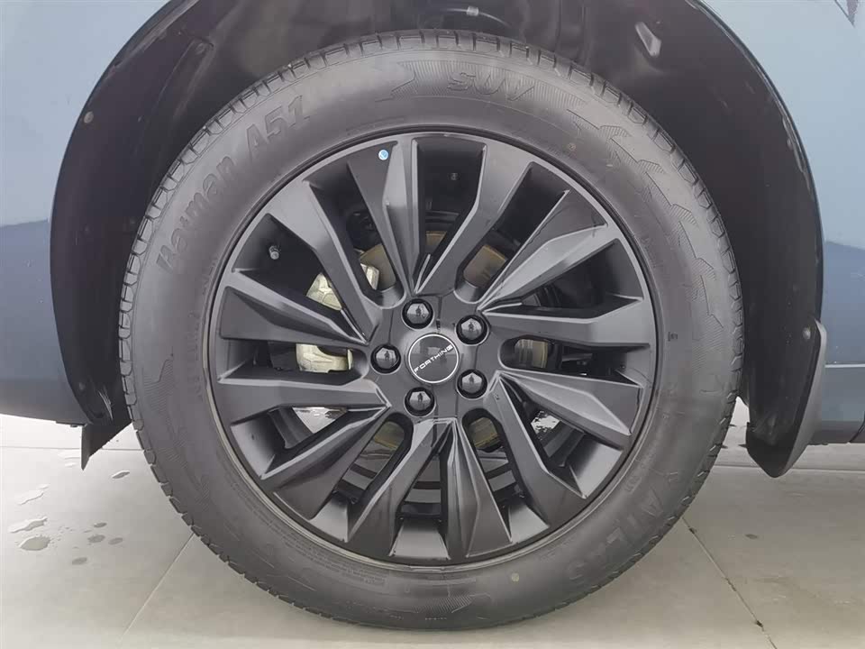 Forthing Popular T5 EVO