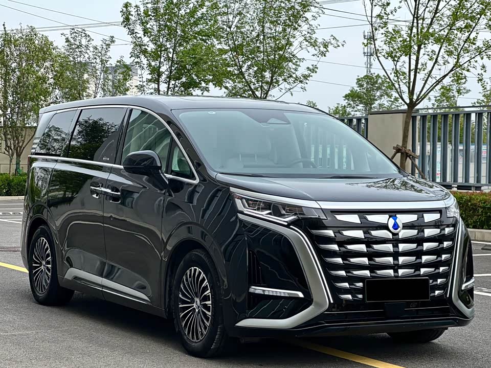 Denza D9