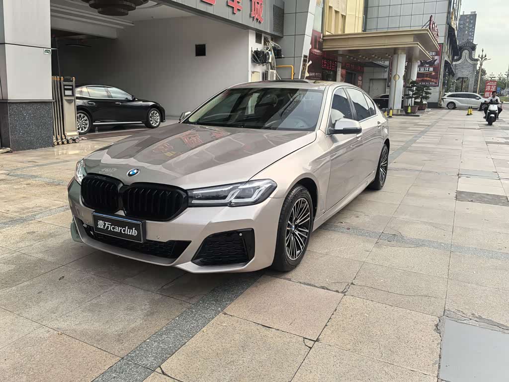 BMW 5 Series 5 2014 528Li Lead