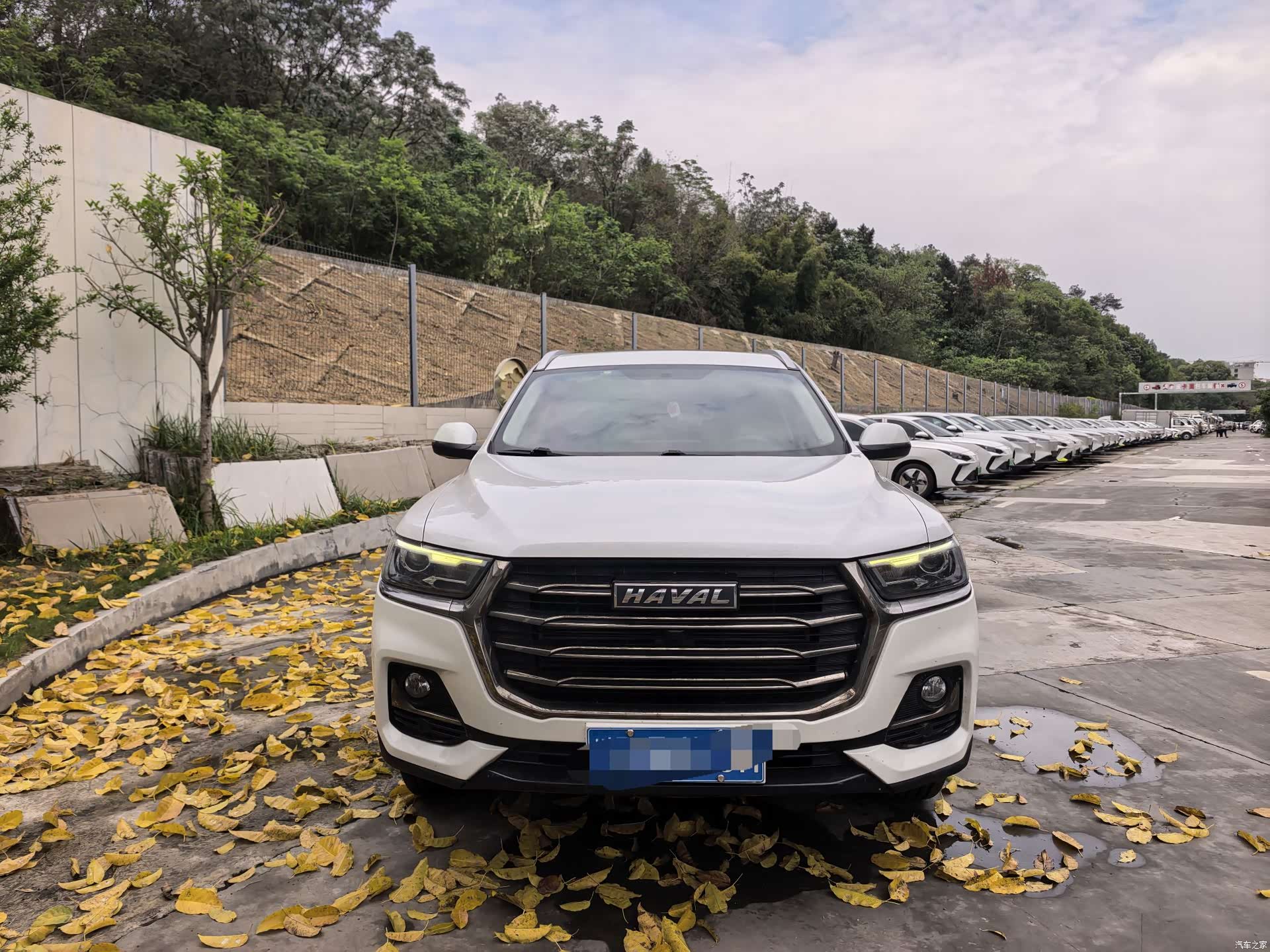 Haval H6, 2022 2