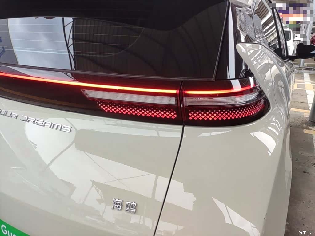 BYD Seagull, 2024 8