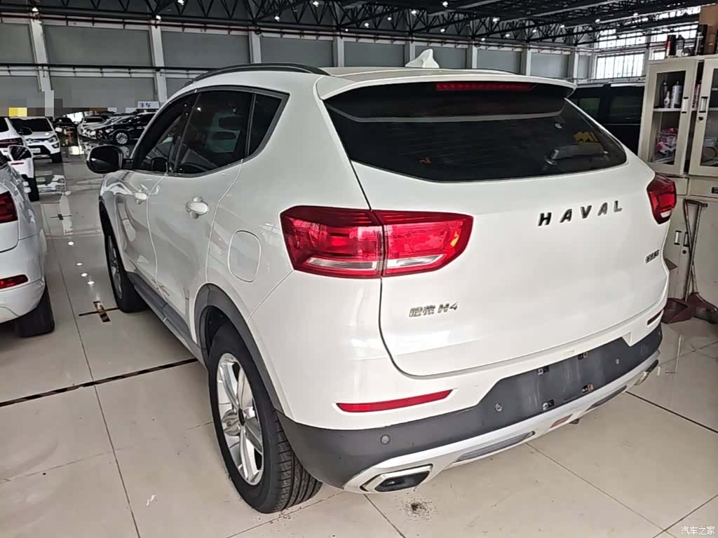 Haval H4, 2019 все фото