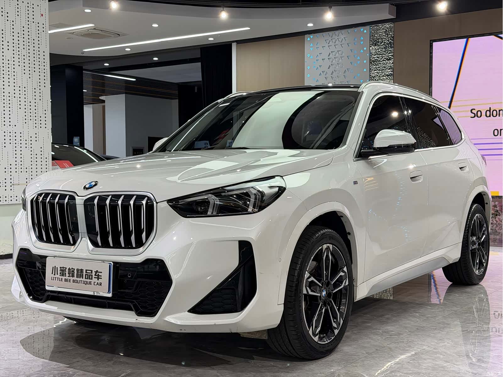 BMW X1, 2024 1