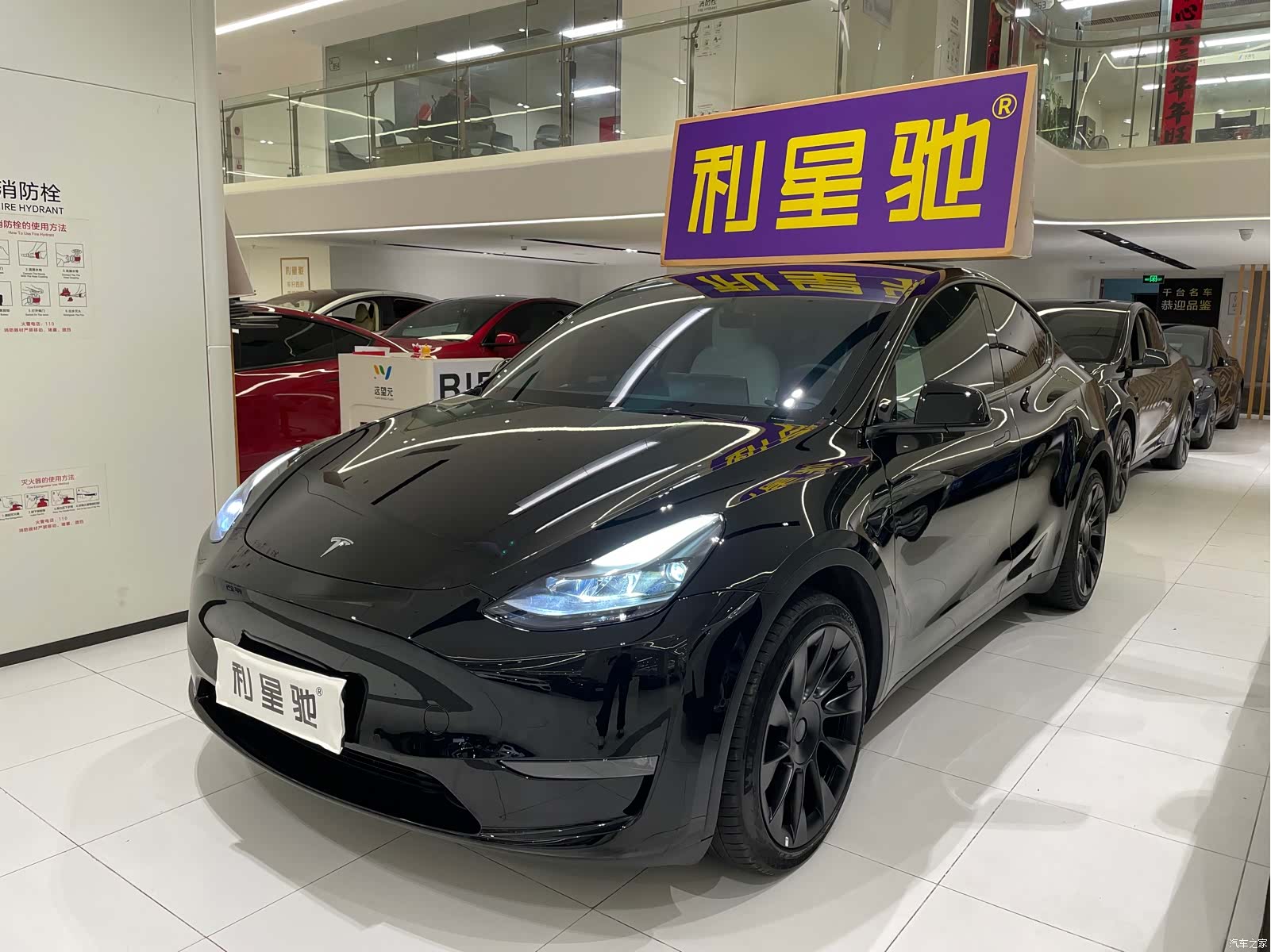 Tesla Model Y, 2023 1