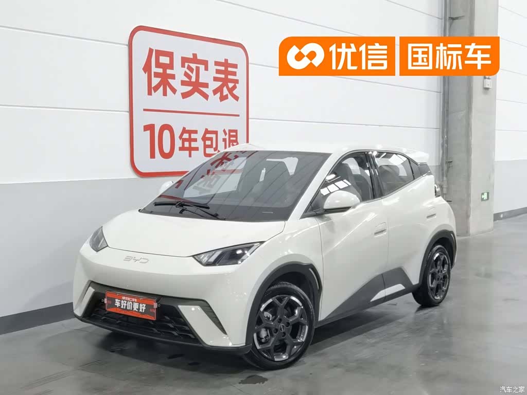BYD Seagull, 2024 1