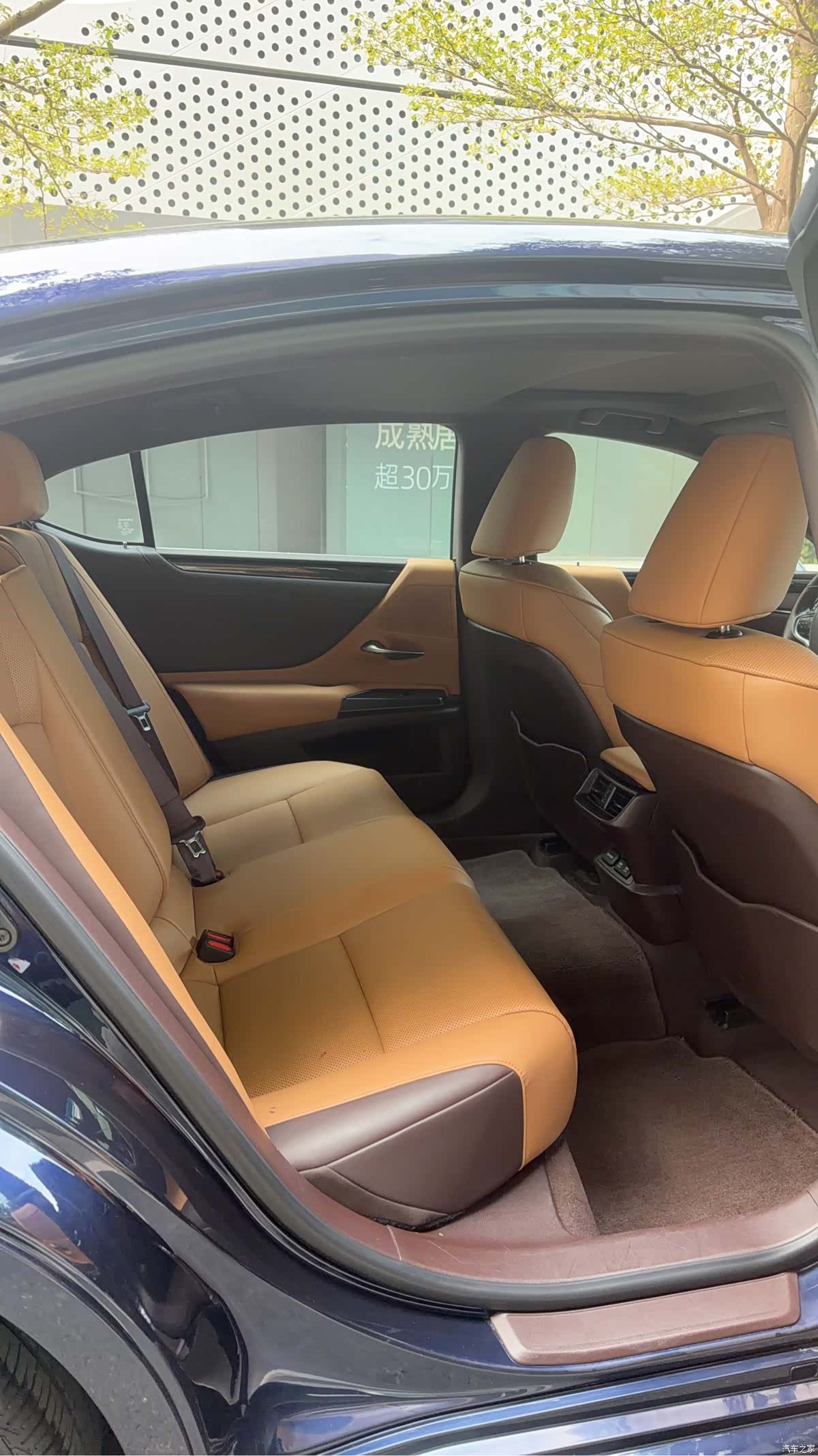 Lexus ES, 2019 6