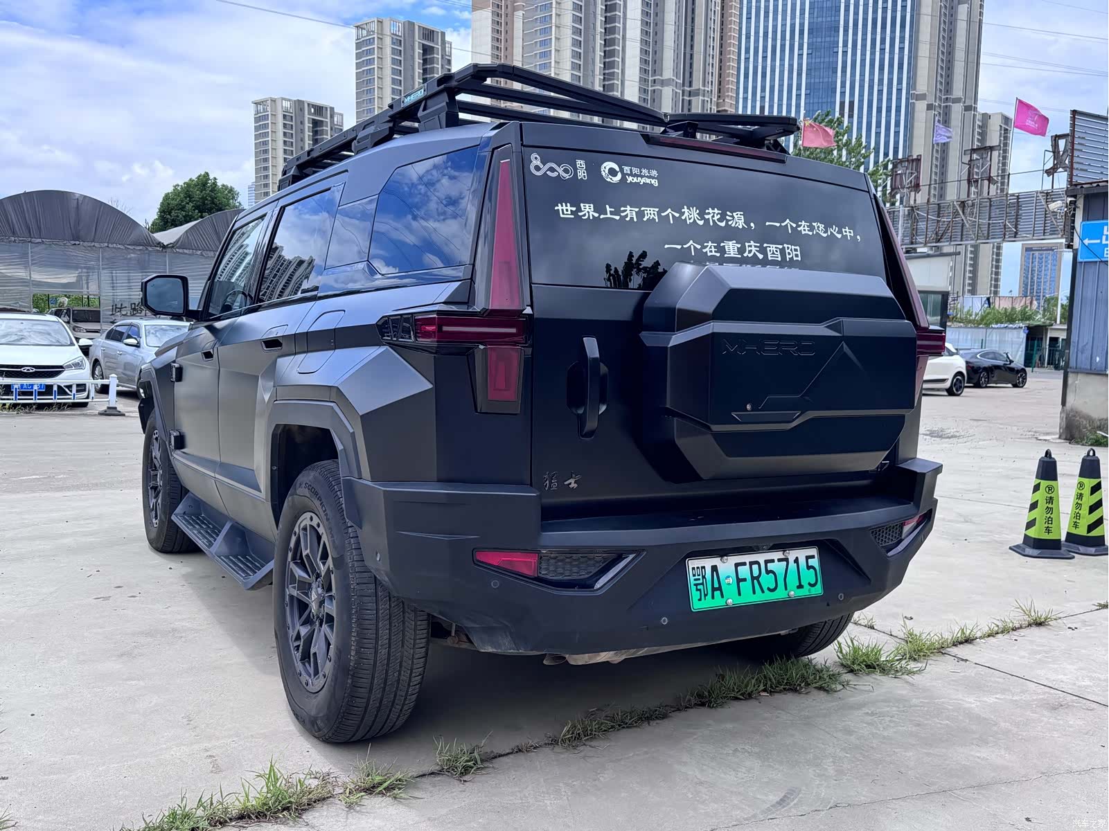 Mengshi 917, 2024 10