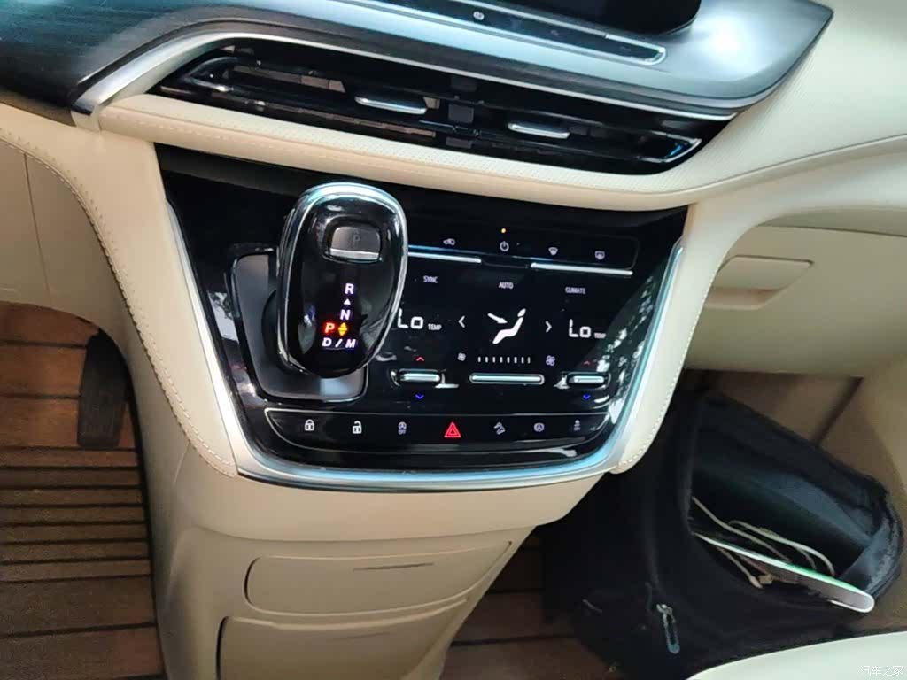 Buick GL8, 2021 14