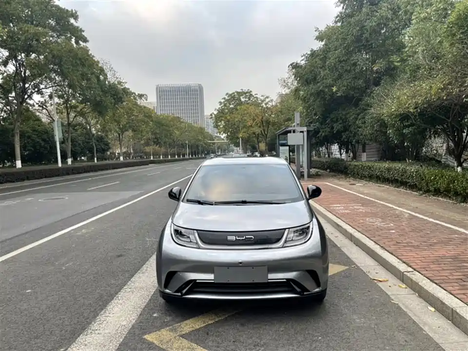 BYD dolphin