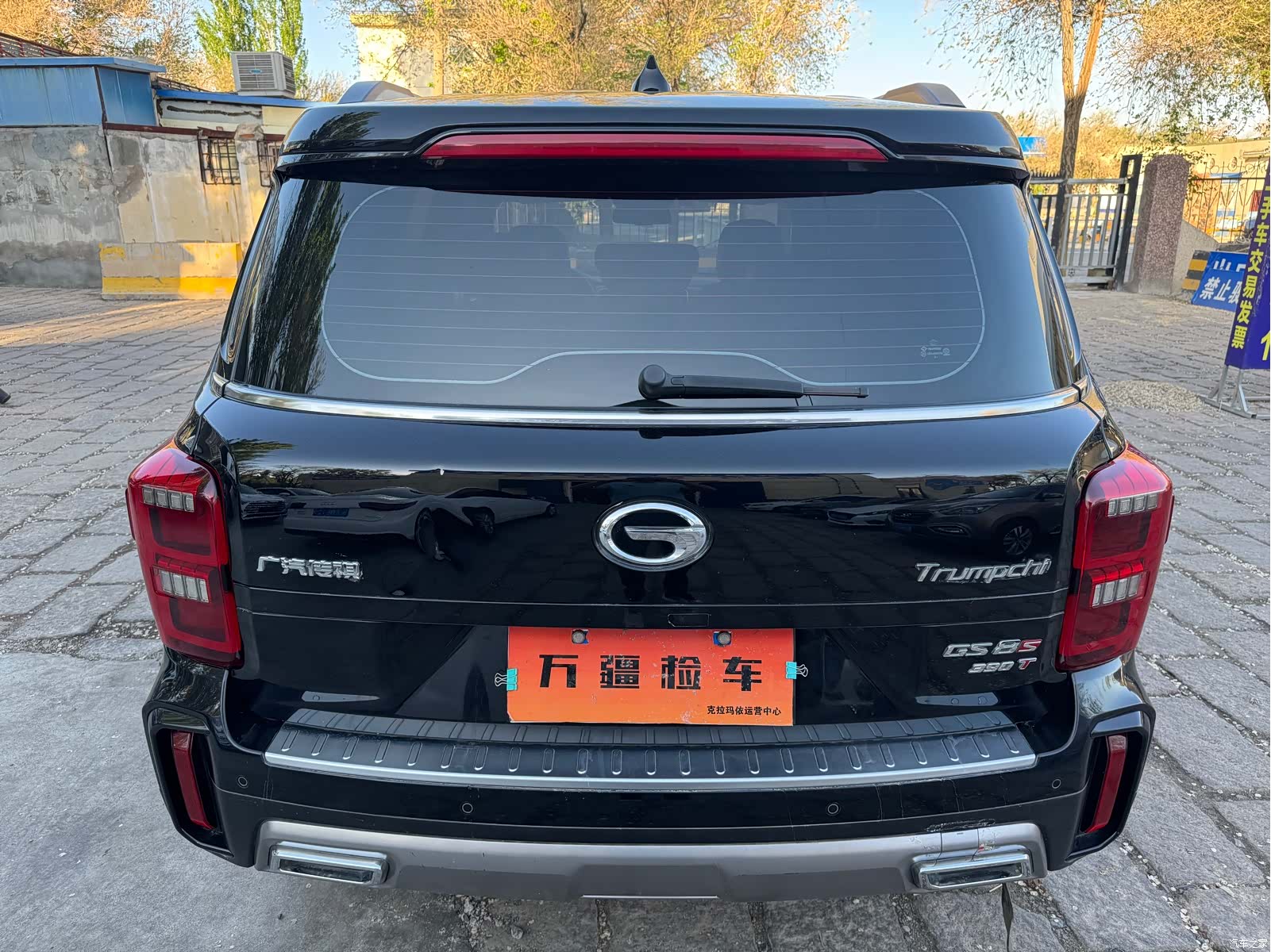 Trumpchi GS8, 2020 8