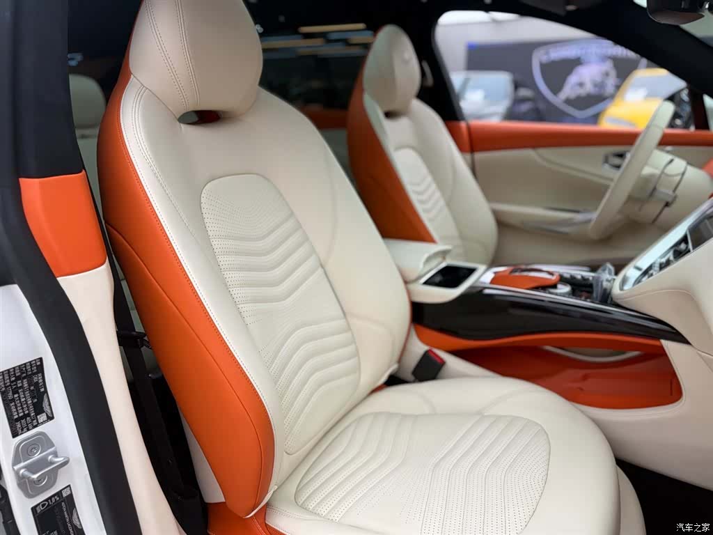 Aston Martin DBX, 2021 11