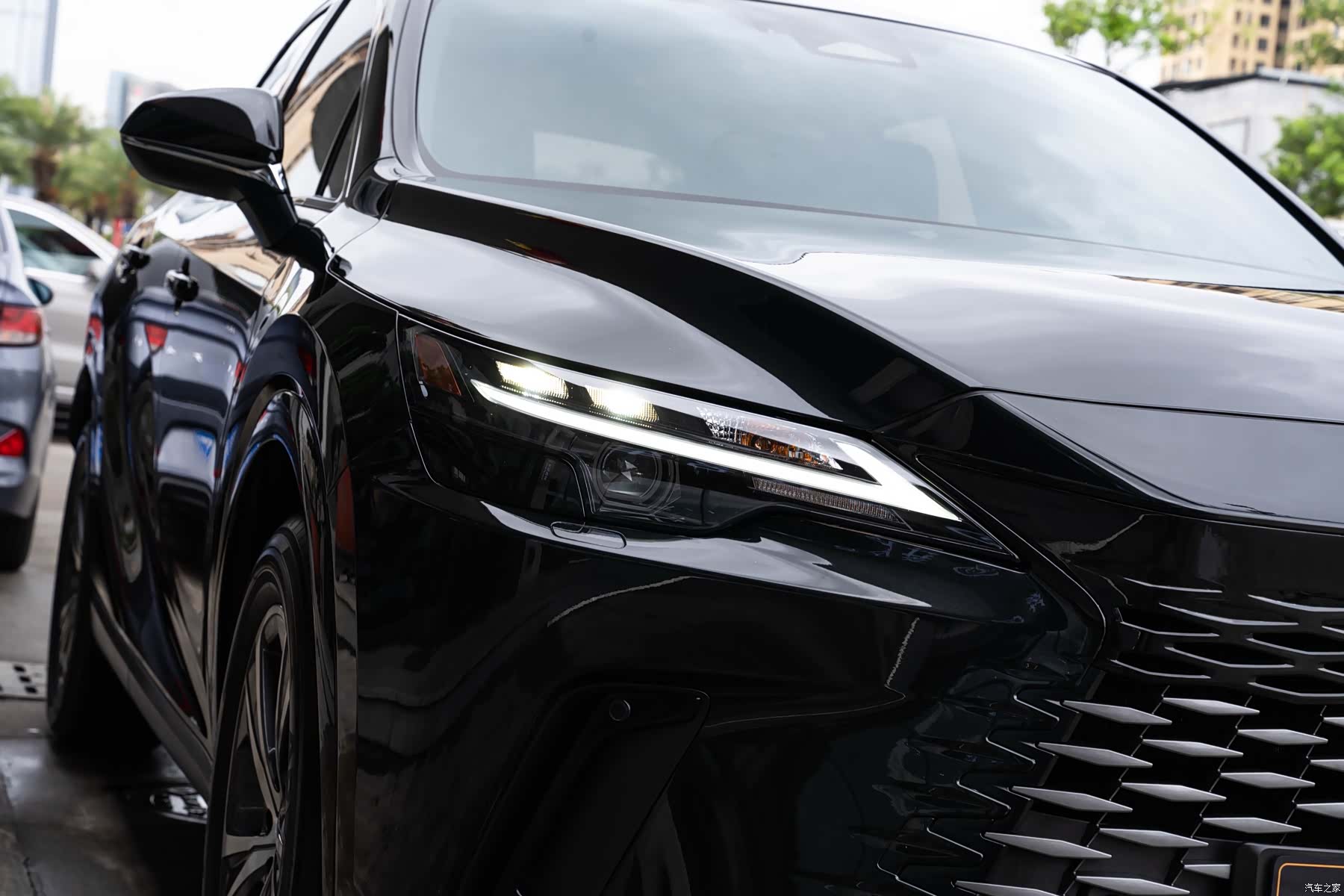 Lexus RX, 2025 6