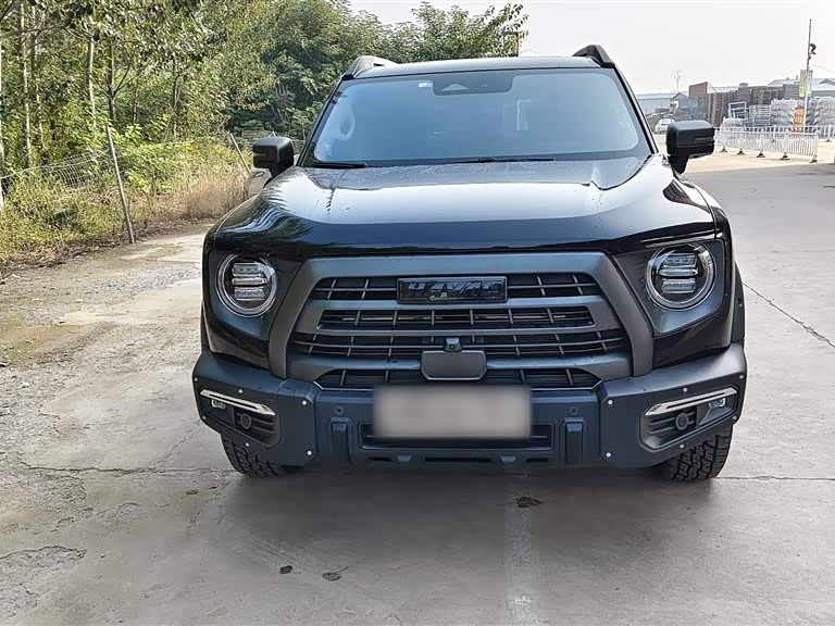 Haval Big dog