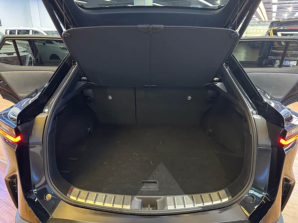 Lexus RZ Lexus RZ