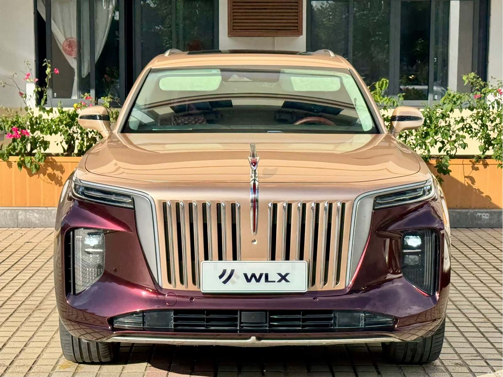Hongqi E-HS9, 2021 2