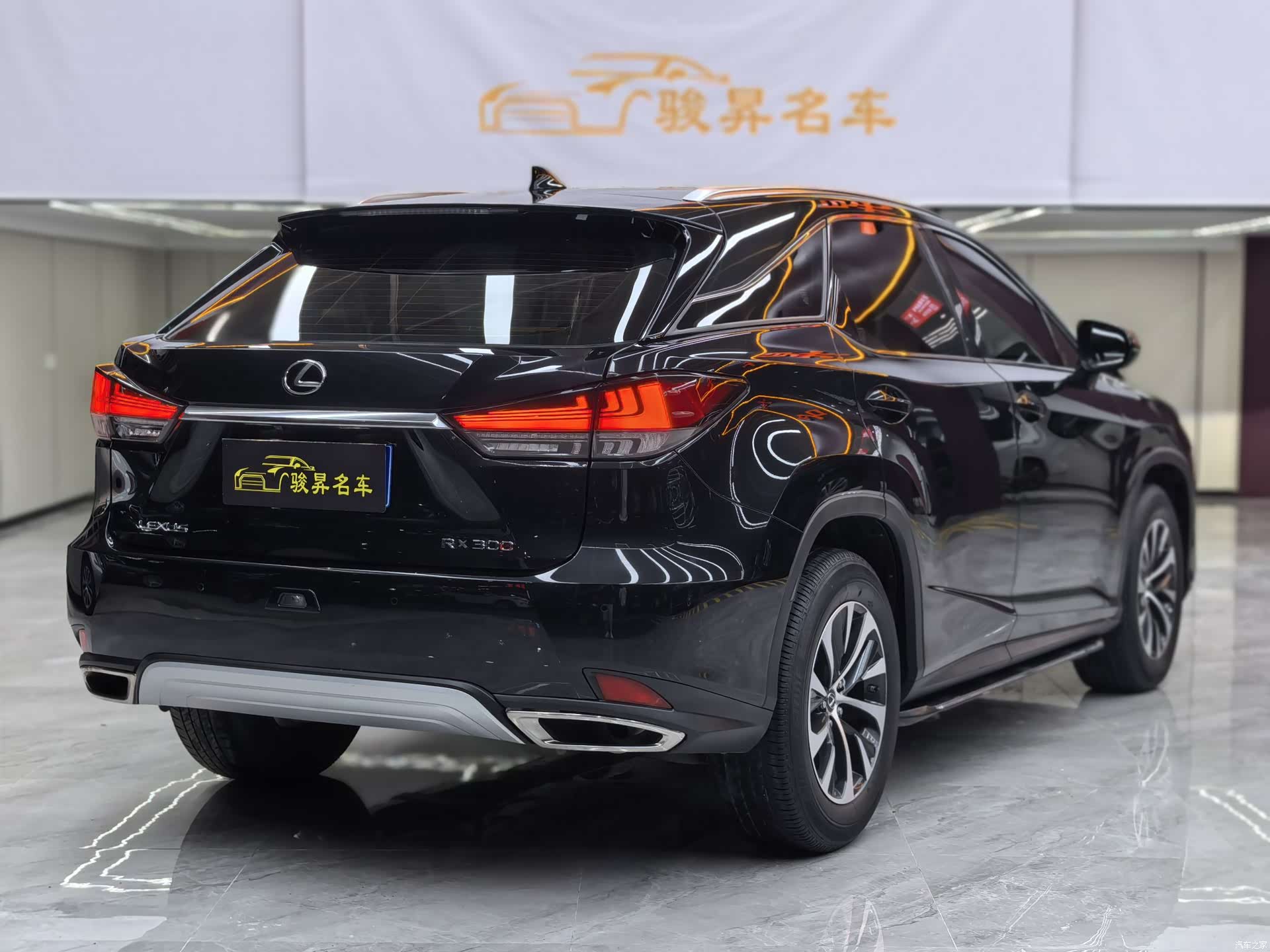 Lexus RX, 2021 6