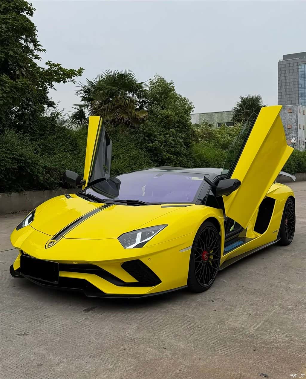 Lamborghini Aventador, 2018 все фото