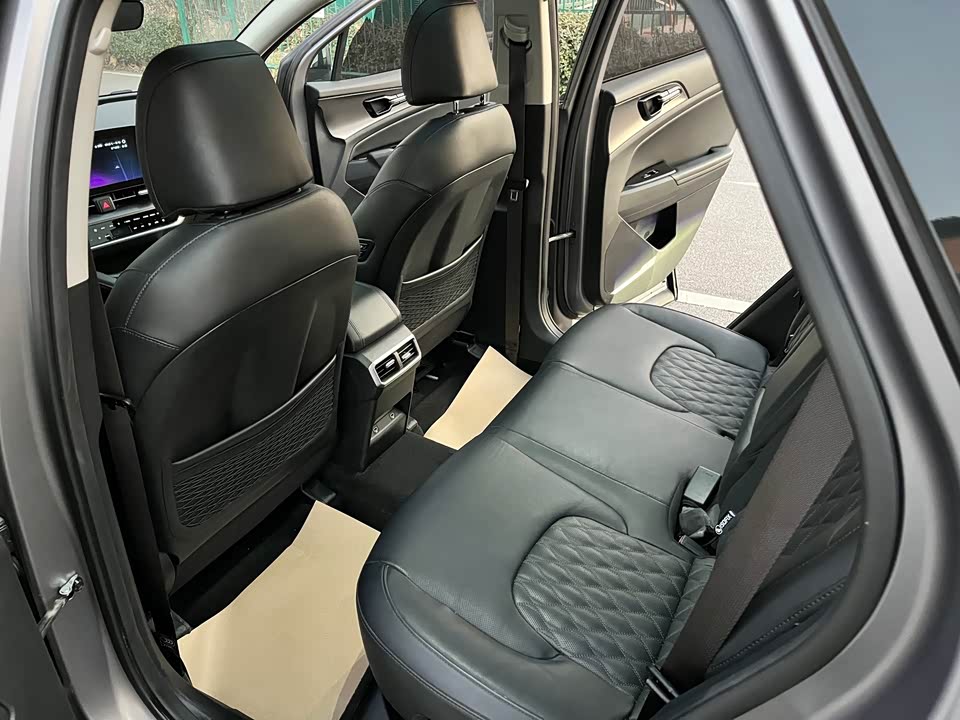 Kia Lion Platinum expands the world