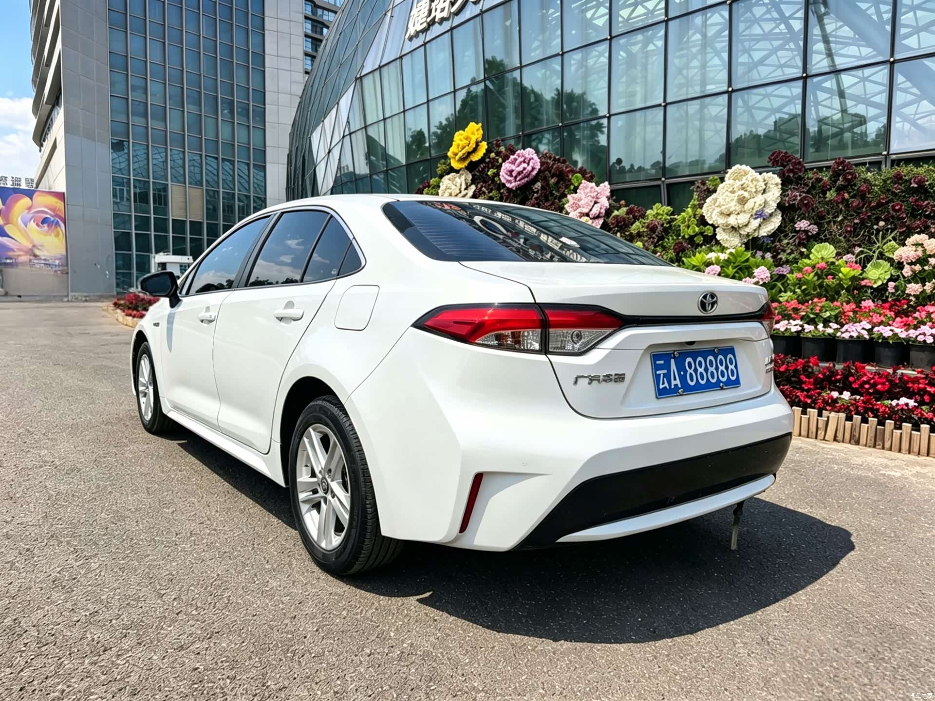 Toyota Levin, 2022 14