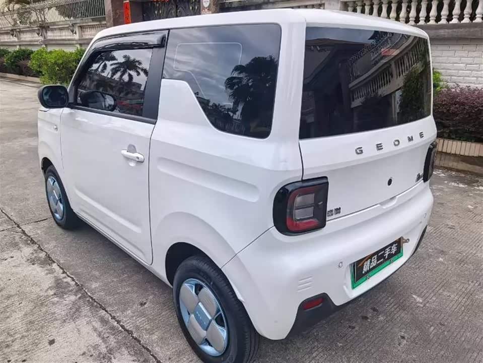 Geely Galaxy panda