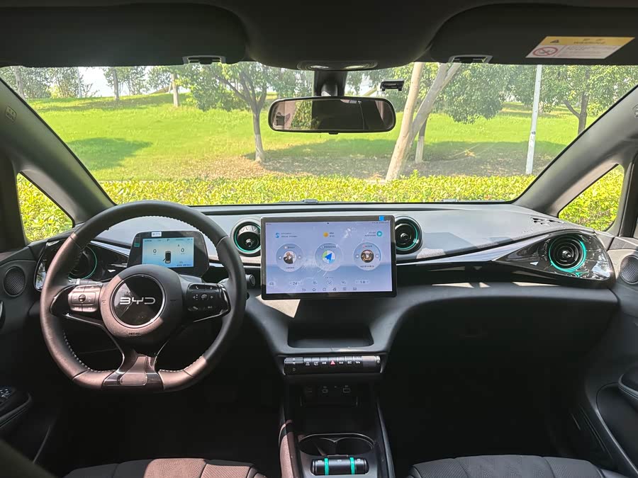 BYD Dolphin 2024, фото 11