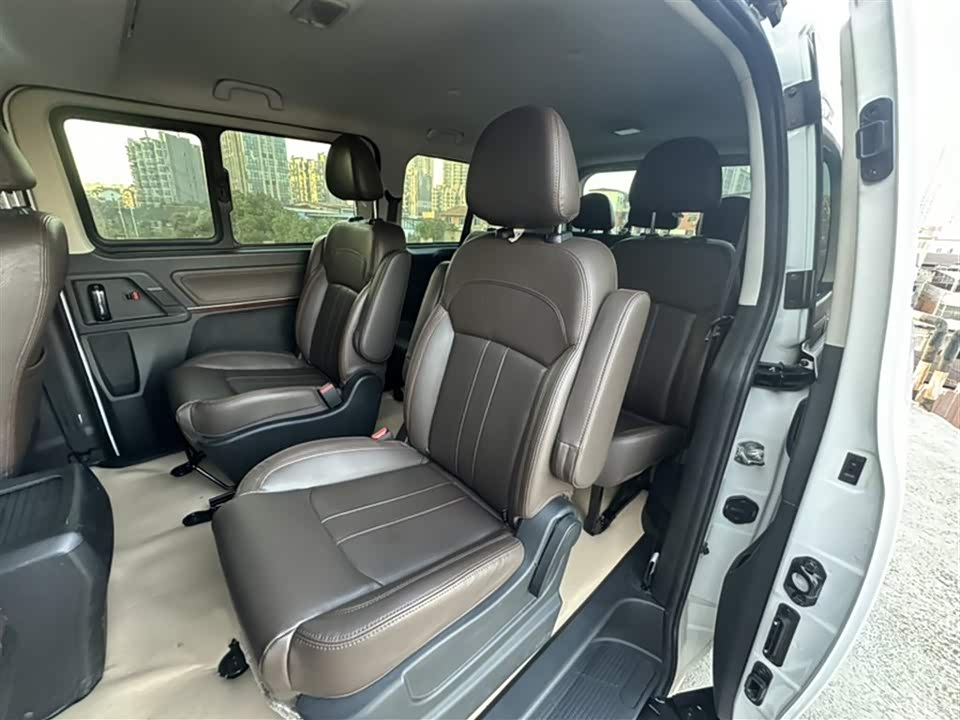 Forthing Lingzhi PLUS