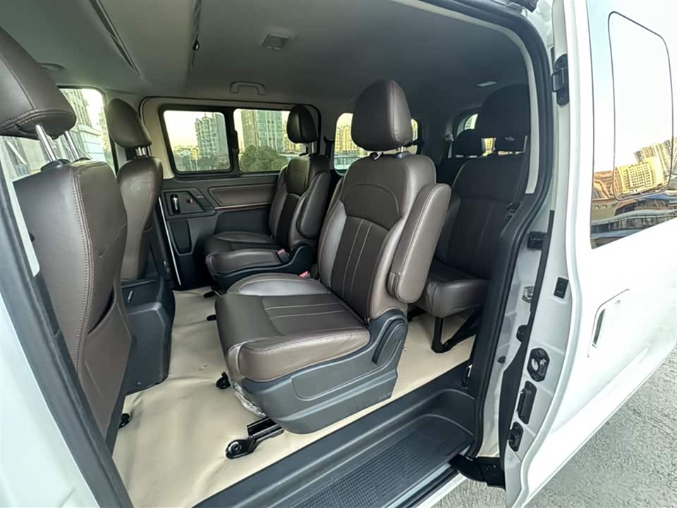 Forthing Lingzhi PLUS