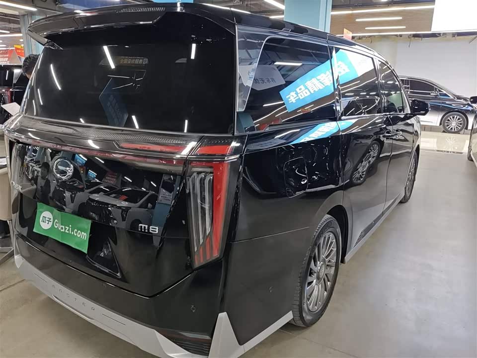 Trumpchi Trumpchi M8