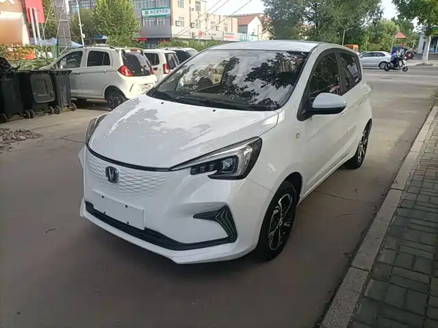 Changan BENBEN E-Star 2020 — купить из Китая под заказ
