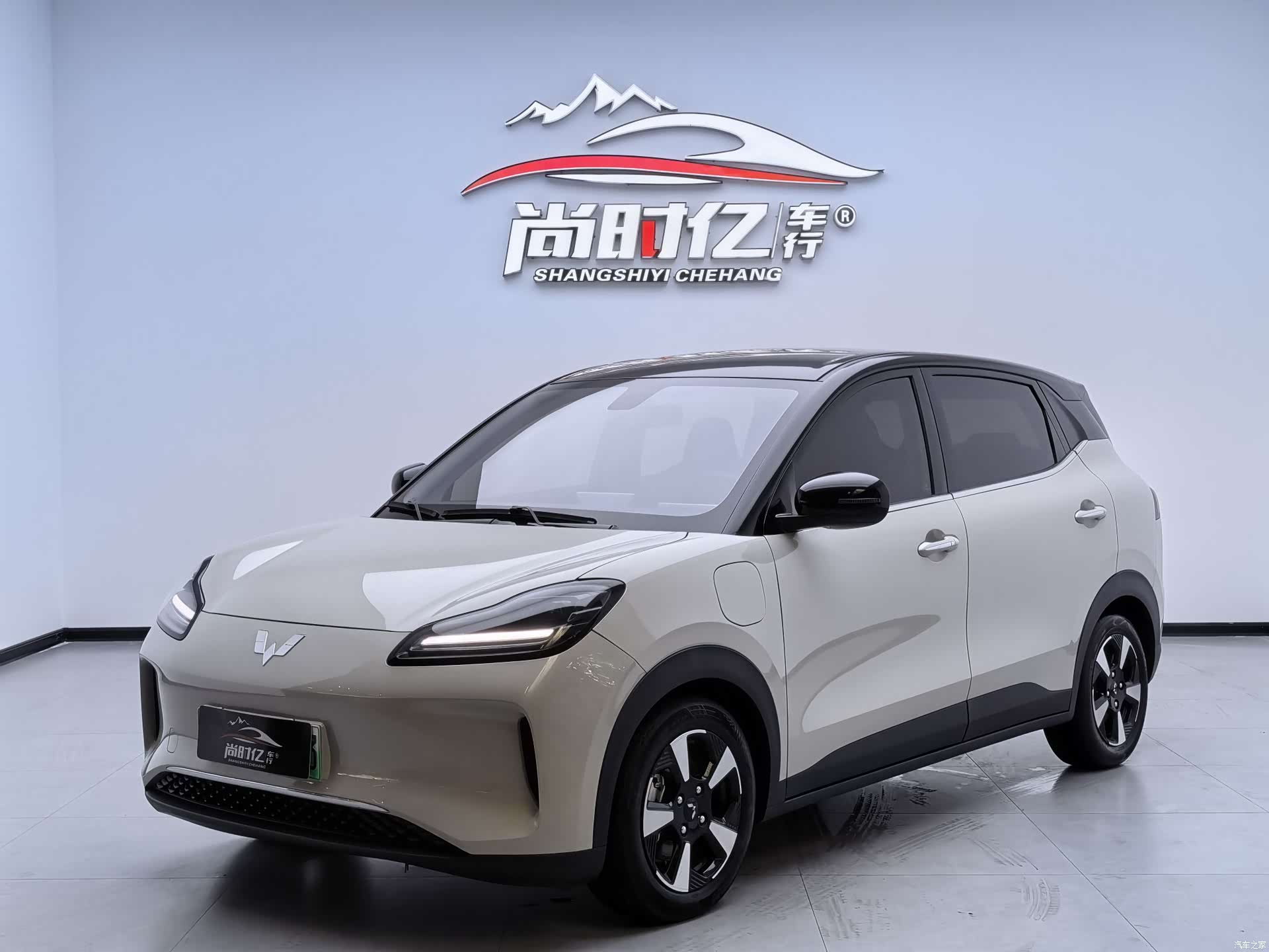 Wuling Bingo