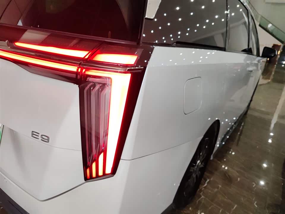 Trumpchi Trumpchi E9