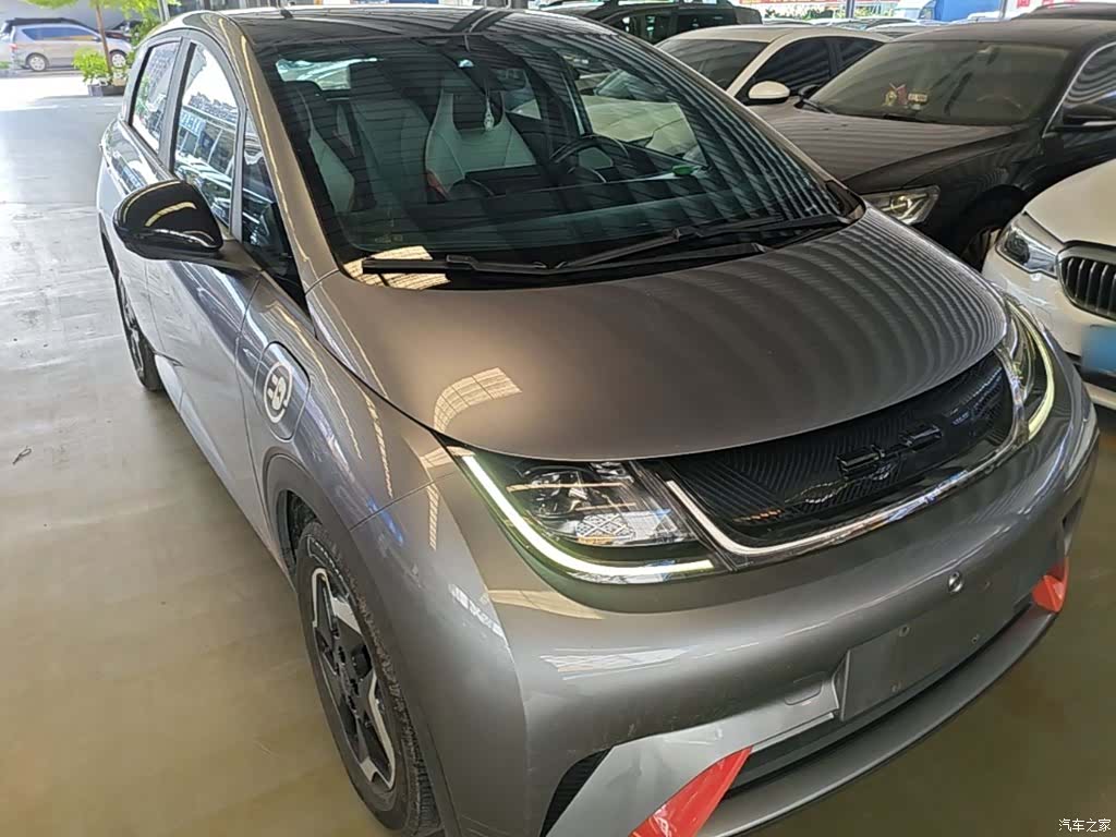BYD Dolphin, 2022 4