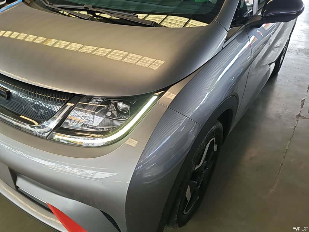 BYD Dolphin, 2022 24