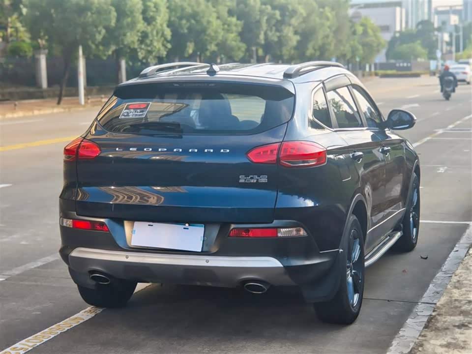 Leopaard Cheetah CS10