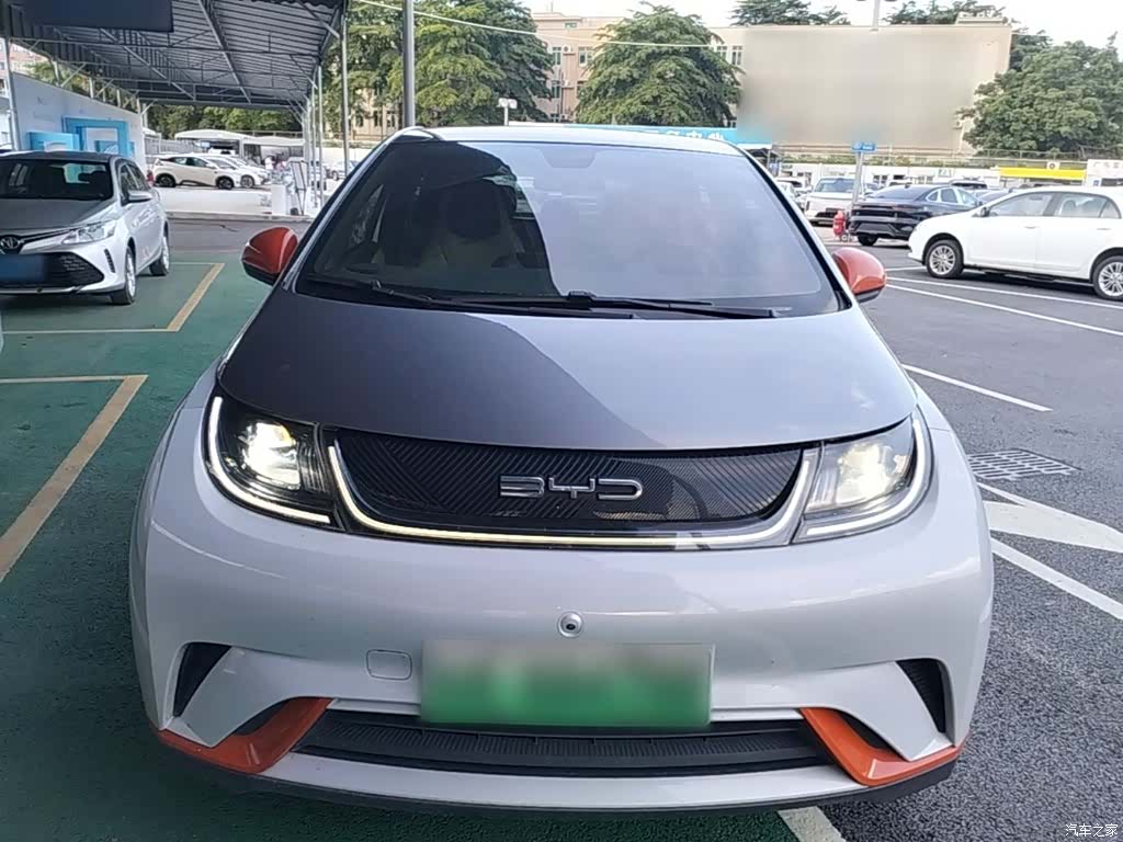 BYD Dolphin, 2021 3