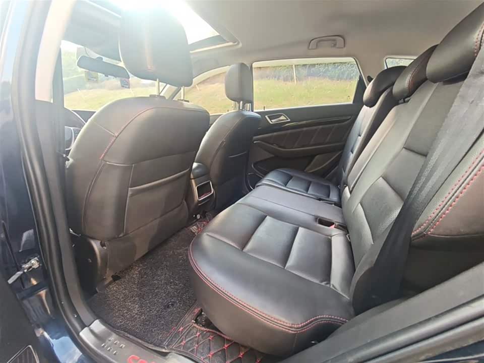 Leopaard Cheetah CS10