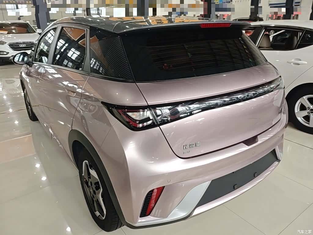 BYD Dolphin, 2022 все фото