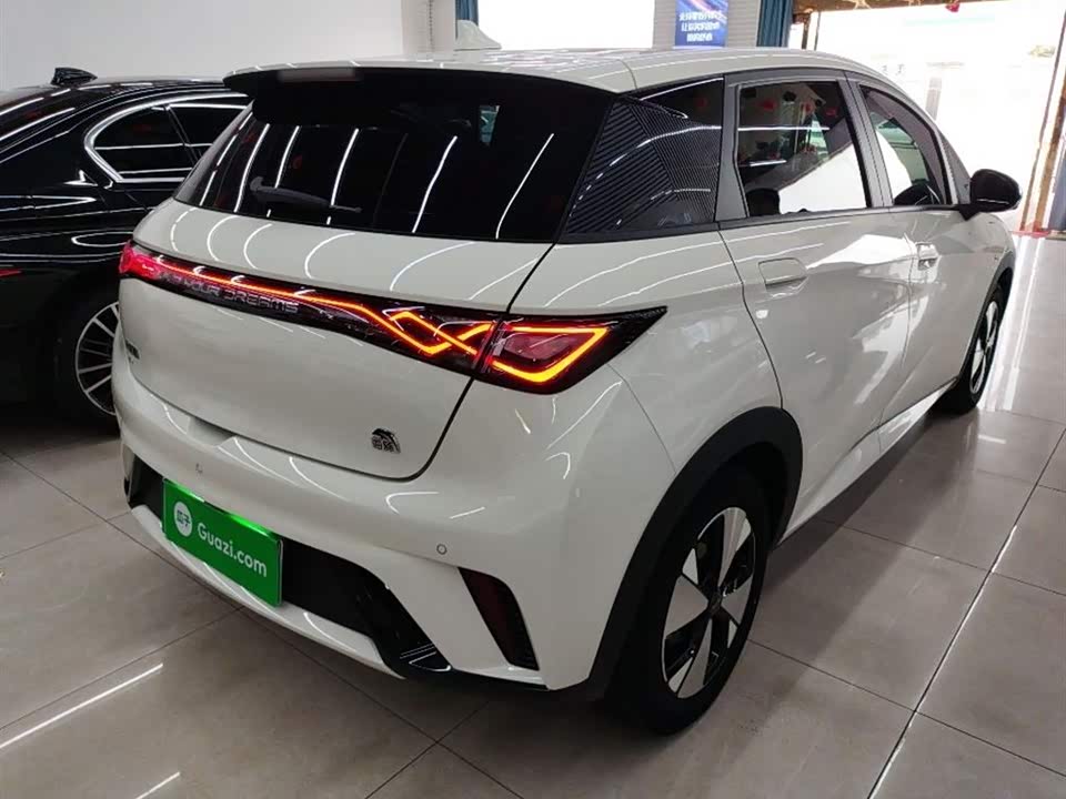 BYD dolphin