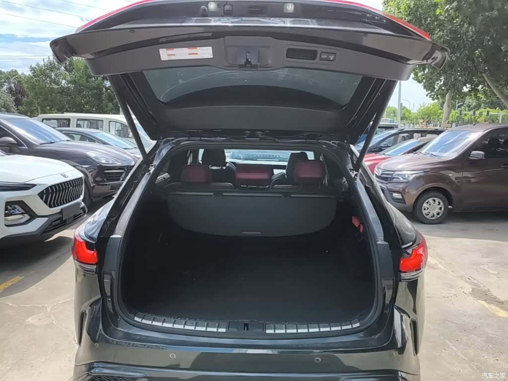 Lexus RX, 2024 19