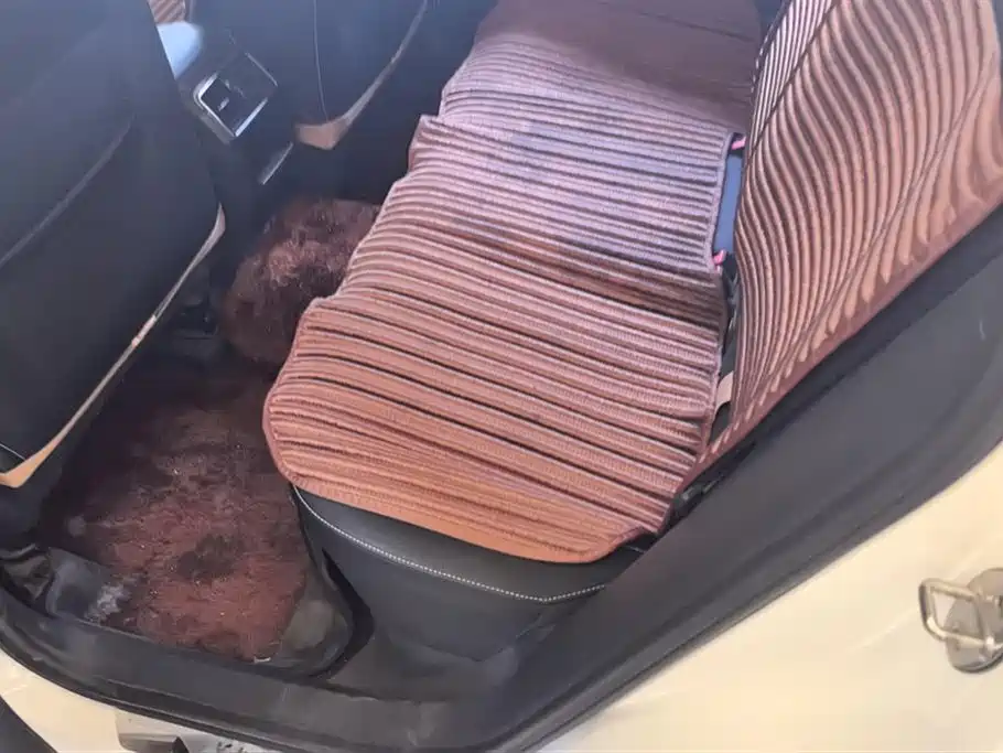 Skoda Krok Skoda Krok