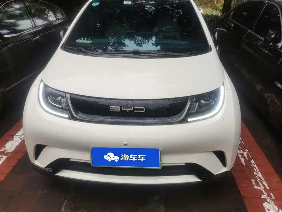 BYD dolphin