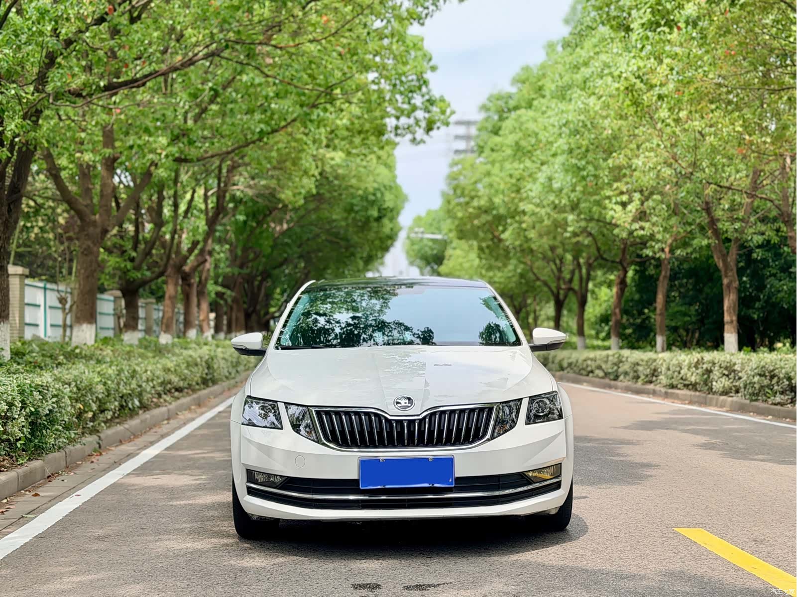 Skoda Octavia, 2018 15
