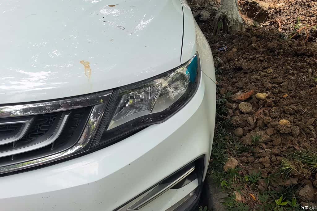 Geely Boyue, 2018 все фото