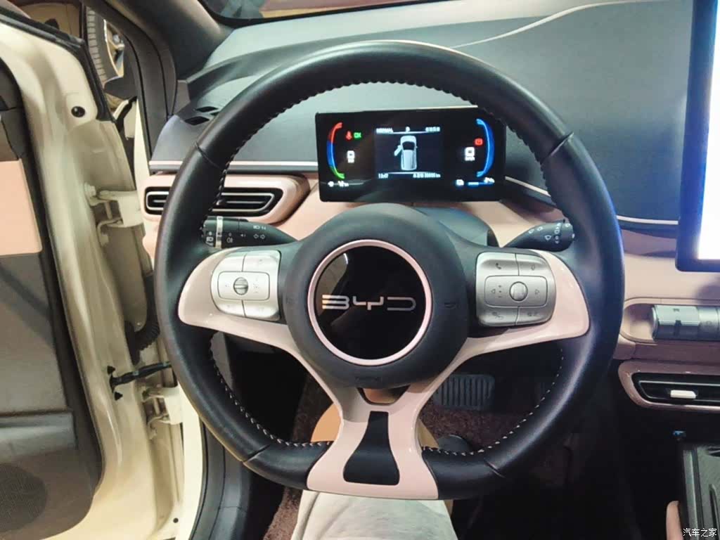 BYD Seagull, 2023 11