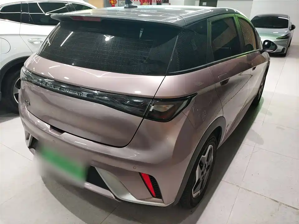 BYD dolphin