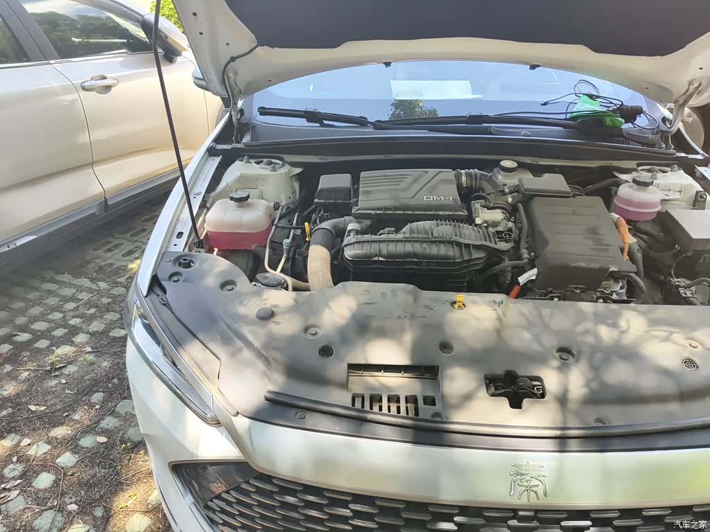 BYD Qin, 2024 22
