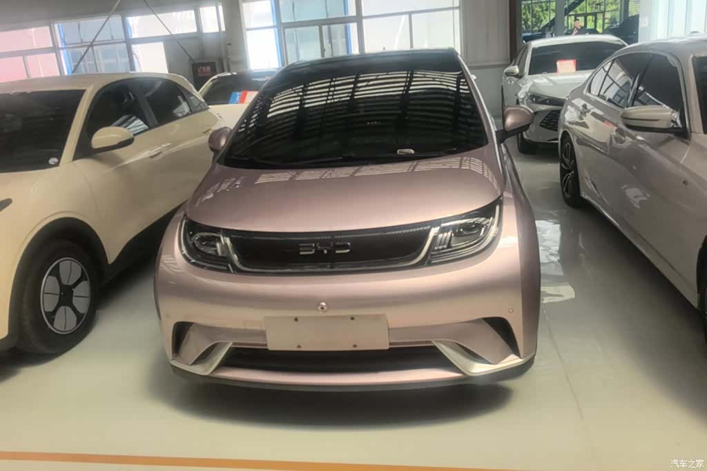 BYD Dolphin, 2024 2