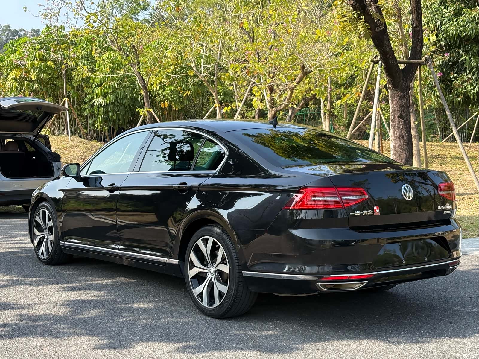 Volkswagen Magotan, 2019 7