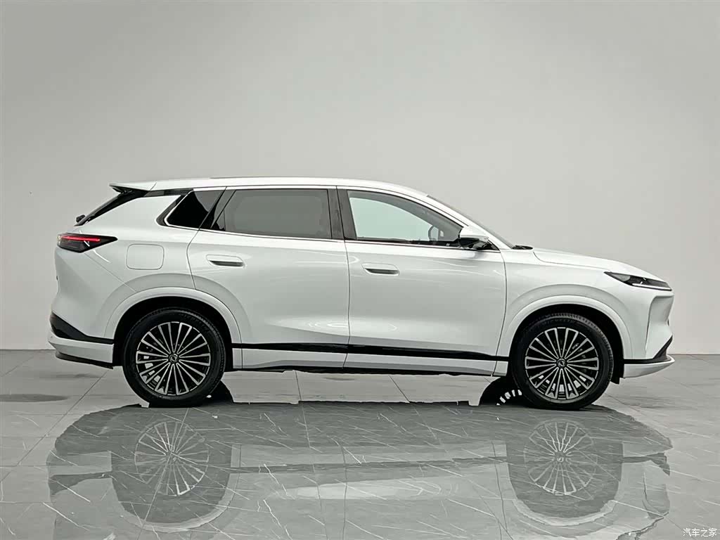 DongFeng L8, 2025 7